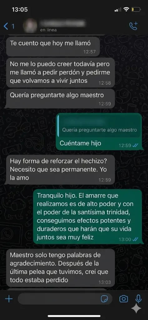 Captura de una conversación de WhatsApp de un cliente con el Maestro Abel (2)